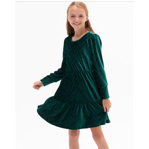 Rare Editions Big Girls Textured Velvet Tiered Dress Hunter Size 16